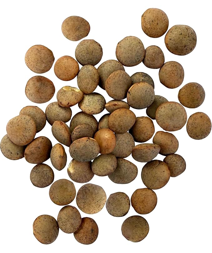 Palouse Brand Certified Glyphosate Residue Free Brown Lentils | 25 LBS | Food Storage Bucket |