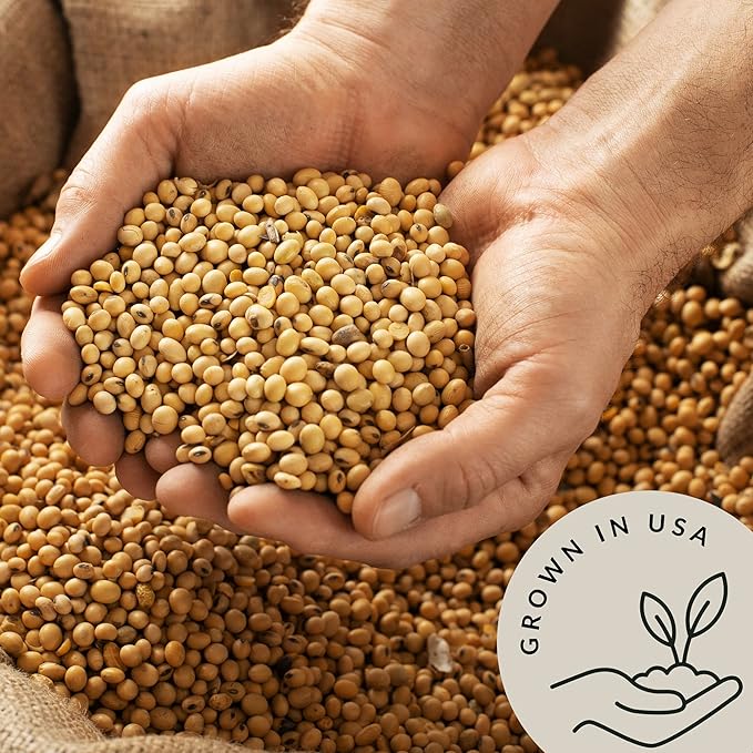 Be Still Farms Organic Soybeans - Soy Beans Dry (2.8 lb) aka Soya Nuts - Great for Edamame, Soy