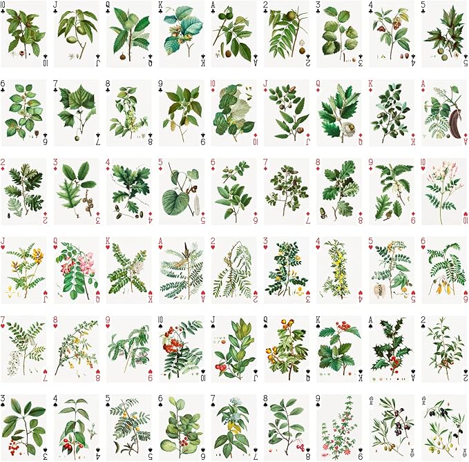 Trees and Leaves Playing Cards (Poker Deck 54 Cards All Different) Vintage Antique Botannical Books