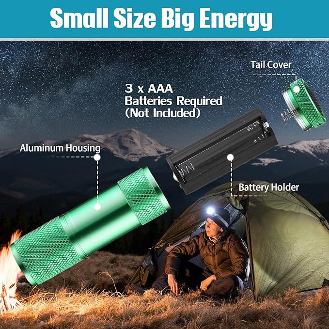 VIHOSE 48 Pcs Mini Flashlights Bulk, Bright Aluminum Handheld Flash Light with Lanyard, Small LED