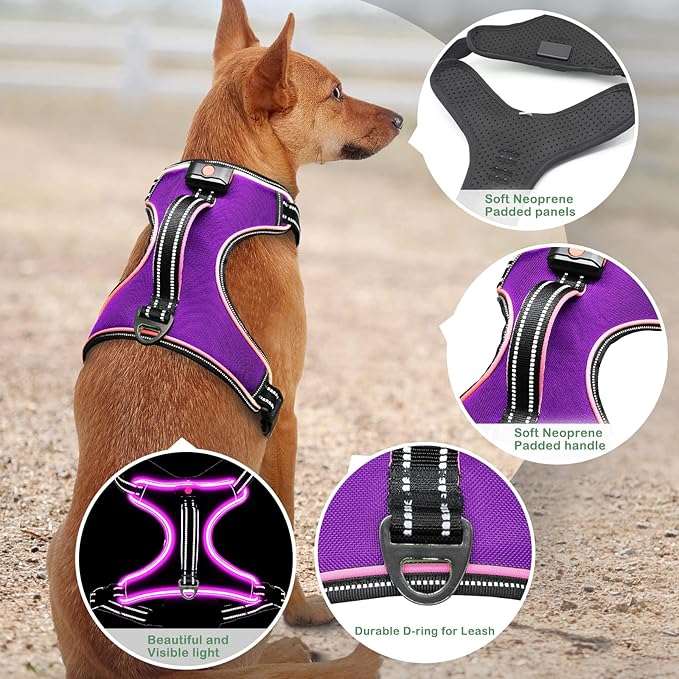 Light Up Dog Harness, No Pull LED Dog Harness with Handle, Rechargeable Lighted Safety Vest for