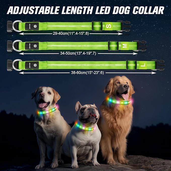LED Dog Collar, Light Up Dog Collar, USB Rechargeable - Brightest Dog Lights for Night Walking, 6