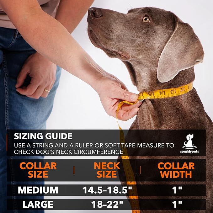 SparklyPets Heavy Duty Dog Collar with Handle for Medium and Large Dogs ??Professional Collar with