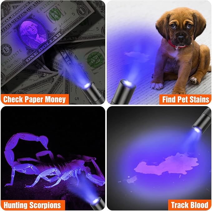 EverBrite Red Light Flashlight with 395nm Blacklight UV/White Light, Multi-Function LED Pocket Pen