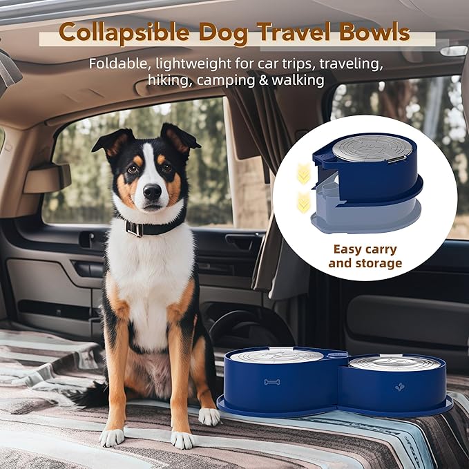 Stainless Steel Dog Bowl Set with Lids, 304 Metal Dual Food & Water Bowls for Dogs & Cats, Large