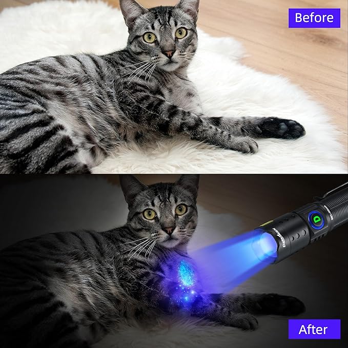 DARKDAWN UV Flashlight 365nm Light Mini USB Rechargeable Ultraviolet LED Blacklight Woods Lamp