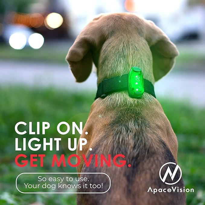 LED Safety Light (2 Pack) - Clip On Strobe/Running Lights for Runners, Dog, Bike, Walking, Boat