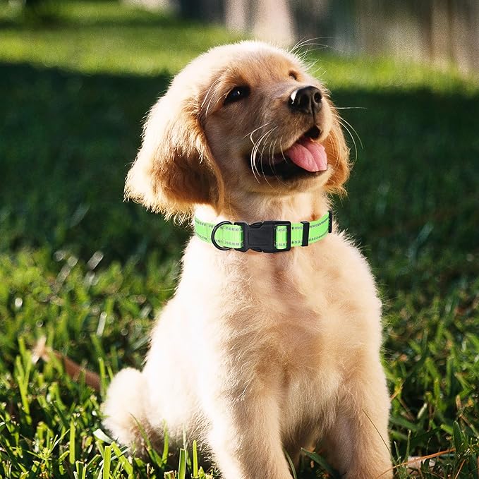 Mile High Life Reflective Dog Collar, Basic Dog Collars Adjustable Quick Release, Soft Nylon Pet