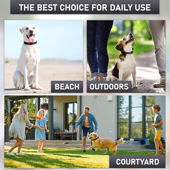 Adjustable Dog Collar with QR Code Dog Tag ID Attached - Made in USA - Honeycomb Waterproof Heavy