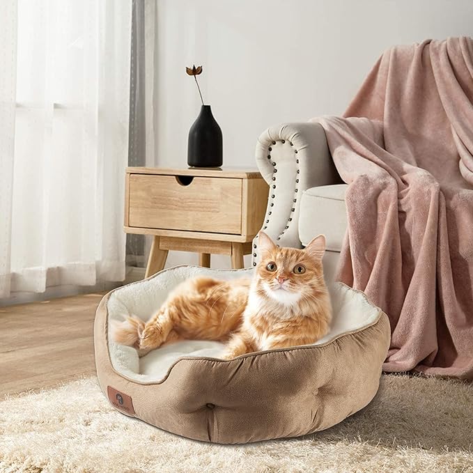 Asvin Small Dog Bed for Small Dogs, Cat Beds for Indoor Cats, Pet Bed for Puppy and Kitty, Extra