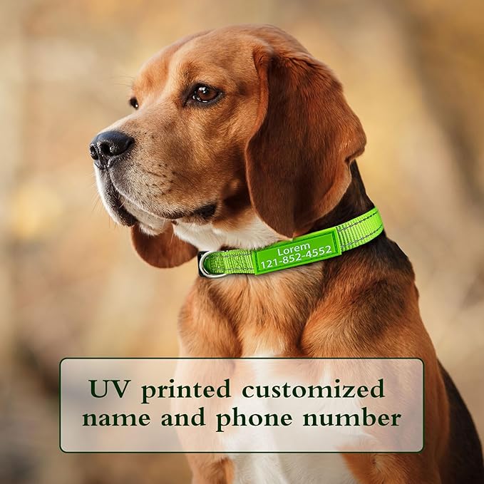 Personalized Dog Collar, Custom ID Collar Reflective Nylon Collar with Pet Name and Phone Number 4