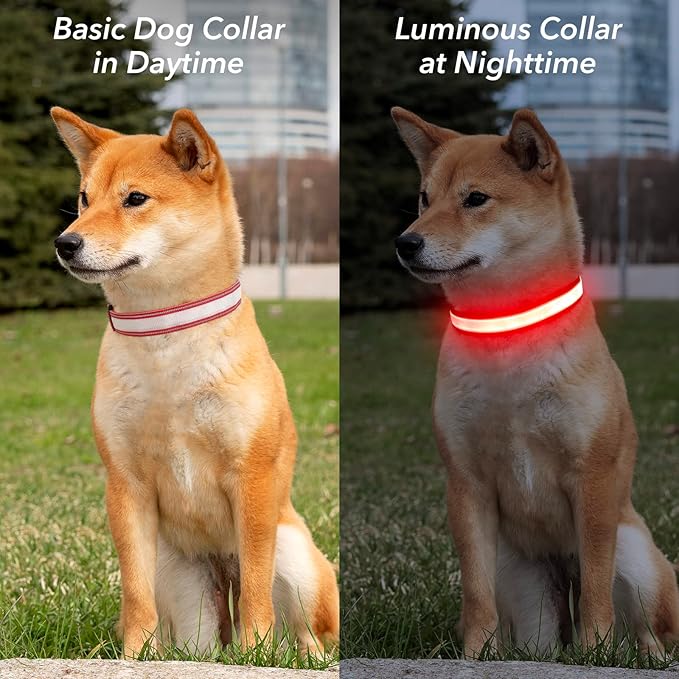 Visinite LED Dog Collar USB Rechargeable, Reflective Light Up Pet Collar for Night Walking