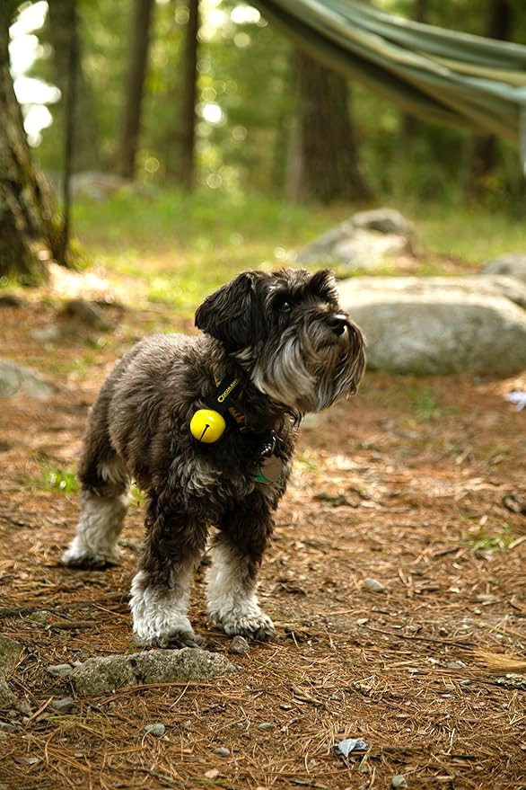 Coghlan's Magnetic Bear Bell with Silencer, Yellow ??Outdoor Safety for Hiking, Camping, and