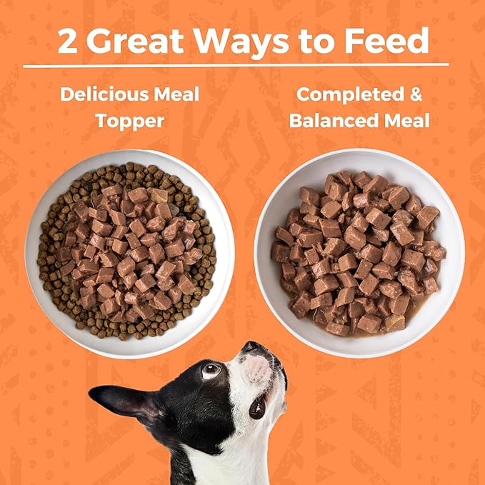 KOHA Minimal Ingredient Chicken Stew for Dogs, High Protein Limited Ingredient Dog Food, 12.7oz