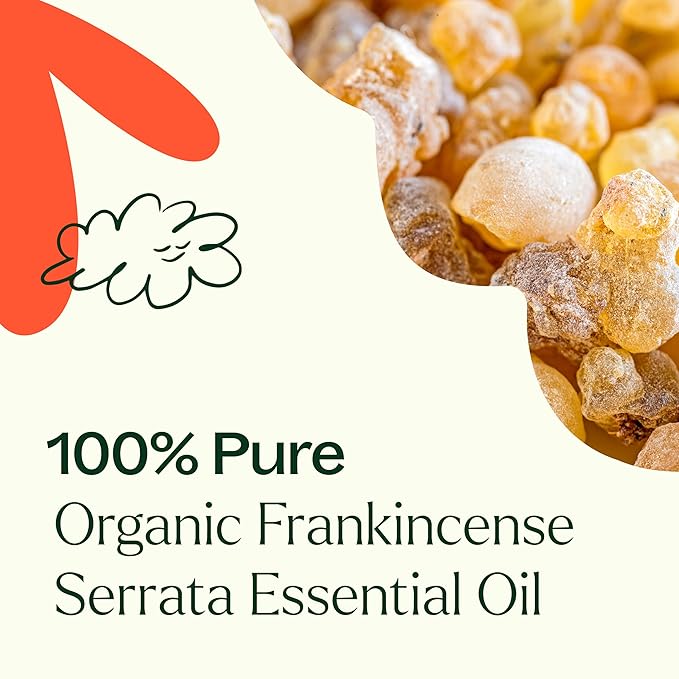 Plant Therapy Organic Frankincense Serrata Essential Oil 100% Pure, USDA Certified Organic