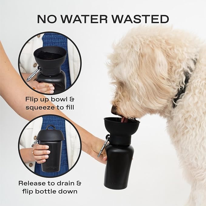 Springer Flip Portable Dog Water Bottle with Foldable Food Grade Silicone Bowl - 20 Ounce Travel