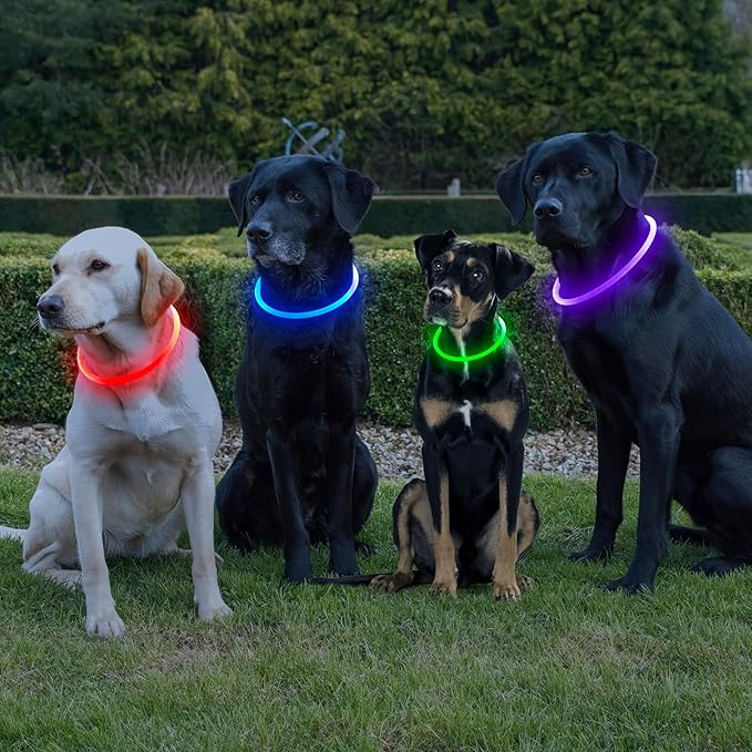 HIGO Light Up Dog Collar, LED Dog Collar for Night Safety with 3 Modes, Type-C Rechargeable &