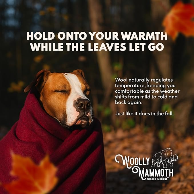Woolly Mammoth Woolen Company Camping Blanket - 66 x 90 in, Red/White & Blue Plaid - Merino