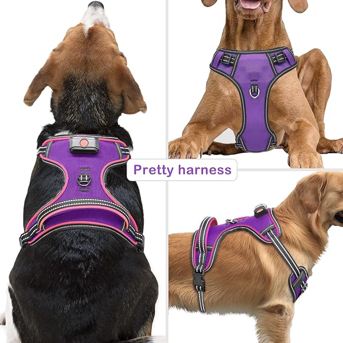 Light Up Dog Harness, No Pull LED Dog Harness with Handle, Rechargeable Lighted Safety Vest for