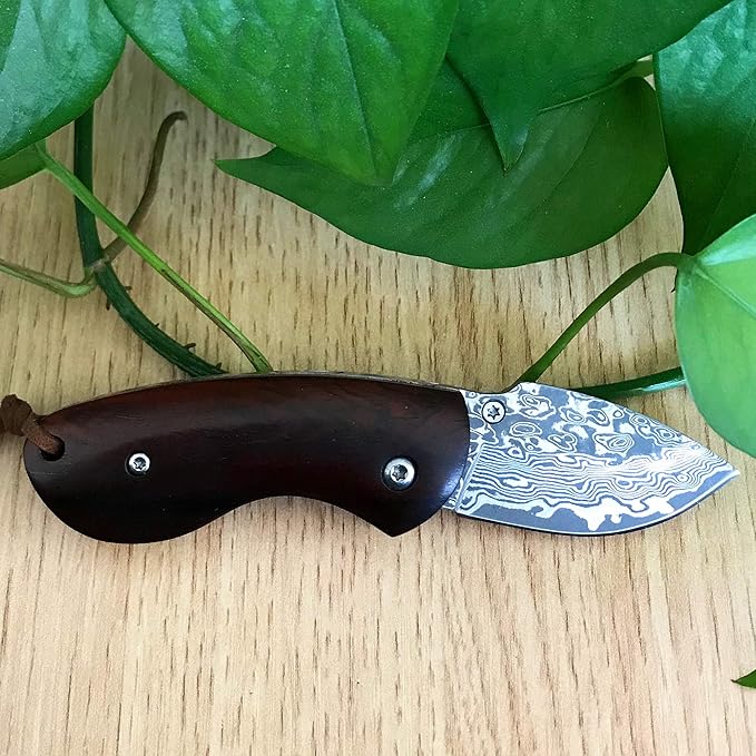 ALBATROSS Mini Pocket Knife - 4.75" Modern Damascus Steel Folding Knife with Red Sandalwood Handle