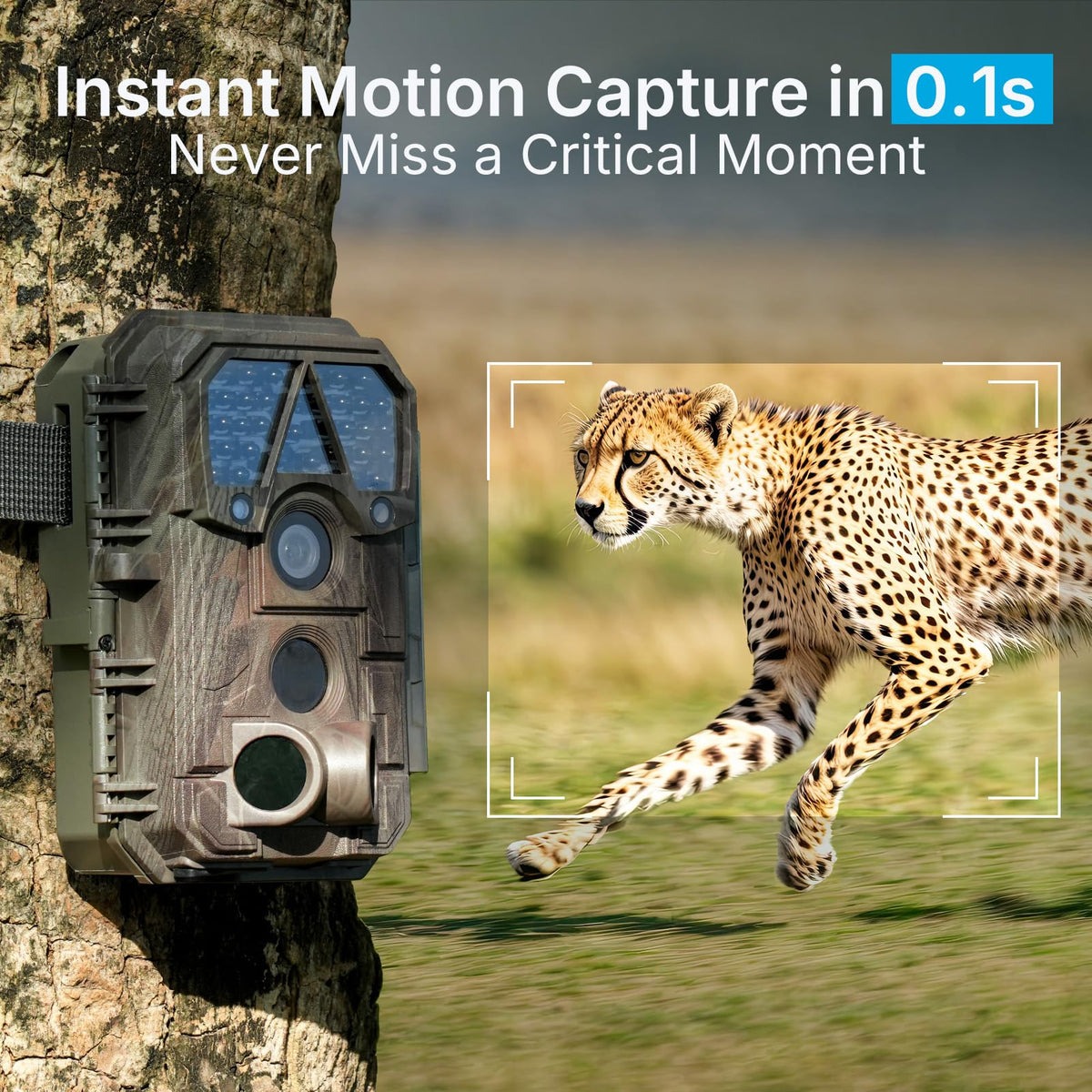 Meidase Trail Camera - 64MP, 1296p, Non-Cellular, Non-WiFi, Waterproof - product view 5