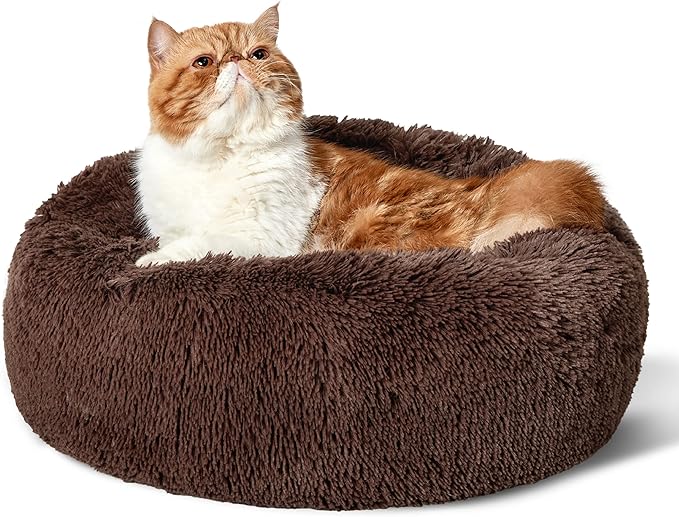 Bedsure Calming Cat Beds for Indoor Cats - Small Cat Bed Washable 20 inches, Anti-Slip Round Fluffy
