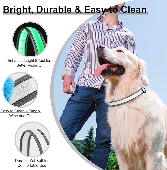 Light Up Dog Collar, Multicolor LED Dog Collar with 7 Modes, USB-C Rechargeable Reflective Glow