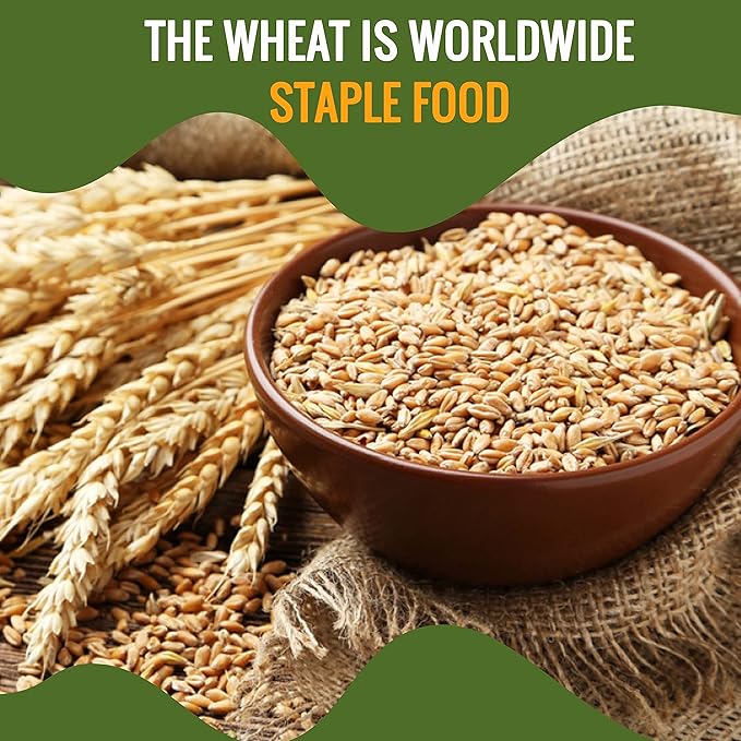 Future Essentials All Purpose White Flour | 100% Natural Whole Grain | Non GMO | Long Term Storage