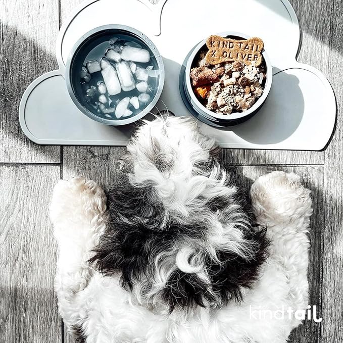 KindTail Dog Travel Bowls - Set of 2 Portable Pet Food & Water Dishes with Lid & Handle - Each