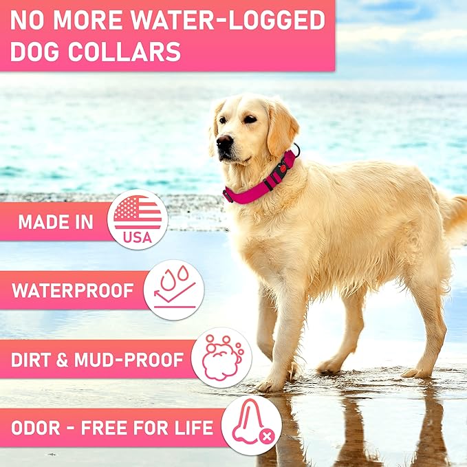 Adjustable Dog Collar with Safety Lock Buckle - Made in USA - Honeycomb Waterproof Heavy Duty Dog