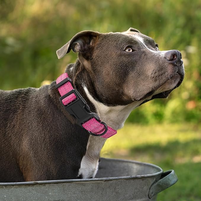 Mile High Life Dog Collar | Nylon Reflective Dog Collars | Light Weight Puppy Collars | Pink Dog