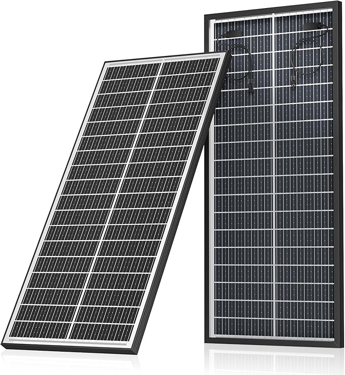 100 Watt Bifacial Solar Panel, 18BB Monocrystalline High Efficiency Module, Dual-Sided 12V/24V for