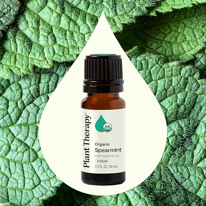 Plant Therapy USDA Certified Organic Spearmint Essential Oil 10 mL (1/3 oz) 100% Pure, Undiluted