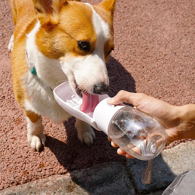 Foldable Dog Water Bottle, Portable Water Dispenser for Dog, Cat, Rabbit, Puppy and Small Animals
