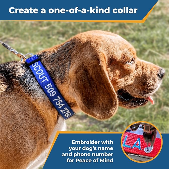 GoTags Personalized Dog Collar, Custom Embroidered with Pet Name and Phone Number in Blue, Black