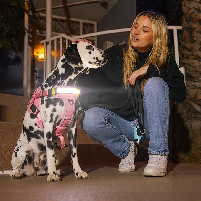 Lumi One LED Dog Harness for Night Visibility & Safety, Patent Pending, Rechargeable Adjustable Dog