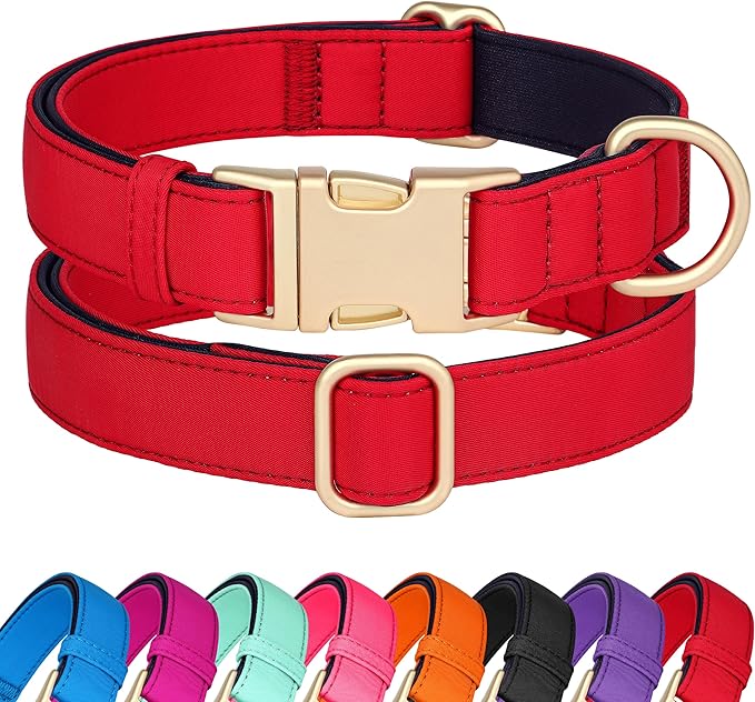 Didog Soft Padded Dog Collars for Medium Dogs, Colorful and Durable Dog Collar with Quick Release