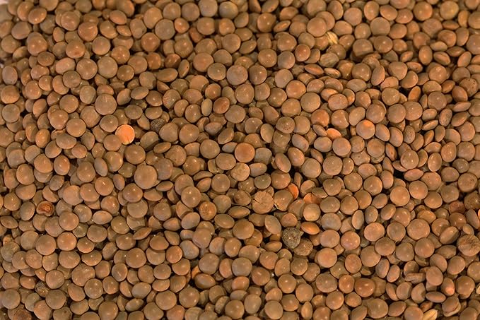 Yupik Organic Brown Lentils, 2.2 lb (35.2 oz), Pack of 6, Non-GMO, Vegan, Gluten-Free, Kosher, Raw