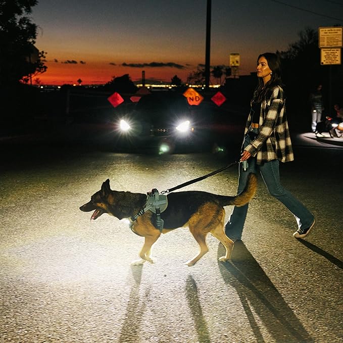 Lumi One LED Dog Harness for Night Visibility and Safety, Patent Pending ??Light-Up Dog Vest