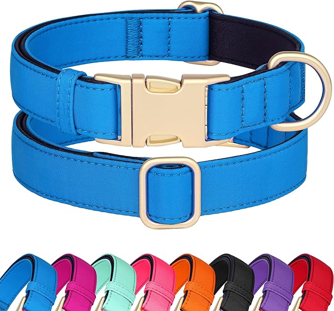 Didog Soft Padded Dog Collars for Small Dogs, Colorful and Durable Dog Collar with Quick Release