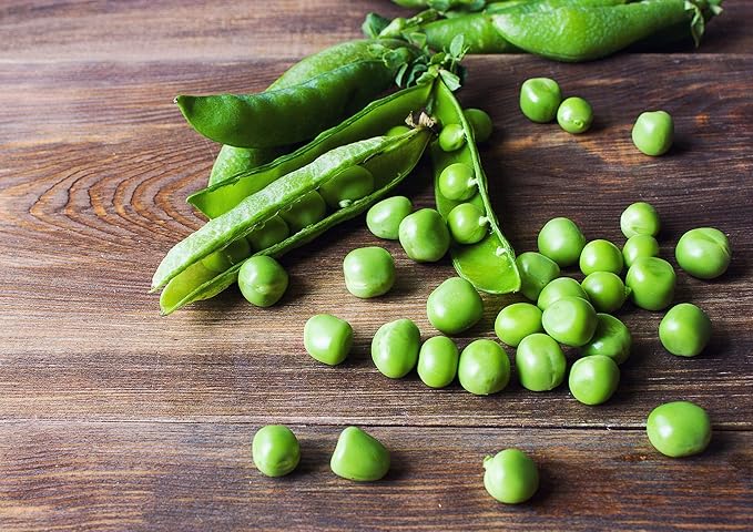 Food to Live Organic Whole Dried Green Peas, 1 Pound – Non-GMO, Green Vatana, Sproutable, Vegan