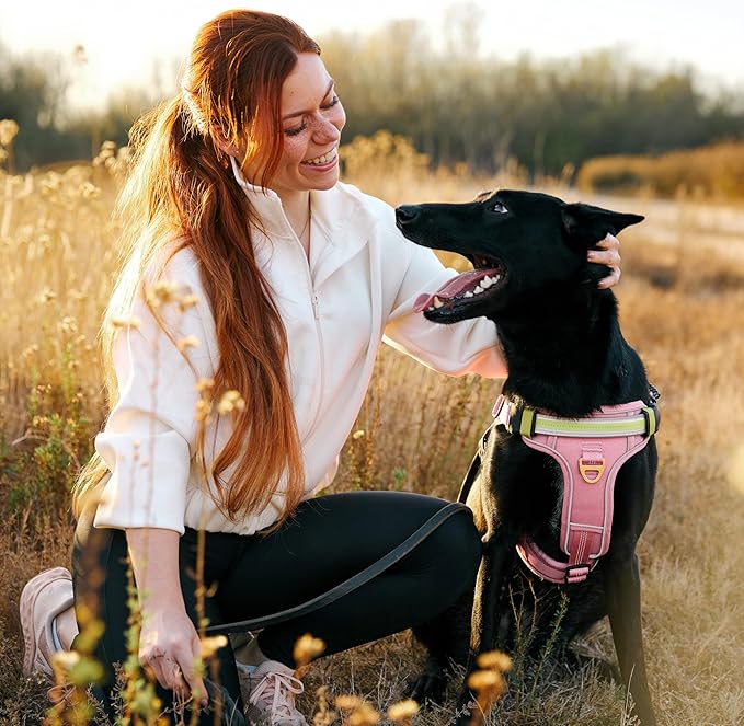 Lumi One LED Dog Harness for Night Visibility and Safety, Patent Pending, Adjustable Dog Harness