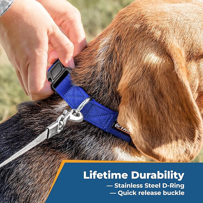 GoTags Personalized Dog Collar, Custom Embroidered with Pet Name and Phone Number in Blue, Black