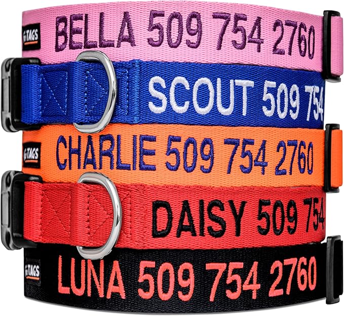 GoTags Personalized Dog Collar, Custom Embroidered with Pet Name and Phone Number in Blue, Black