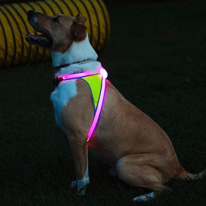 Noxgear LightHound ??Revolutionary Illuminated and Reflective Harness for Dogs Including