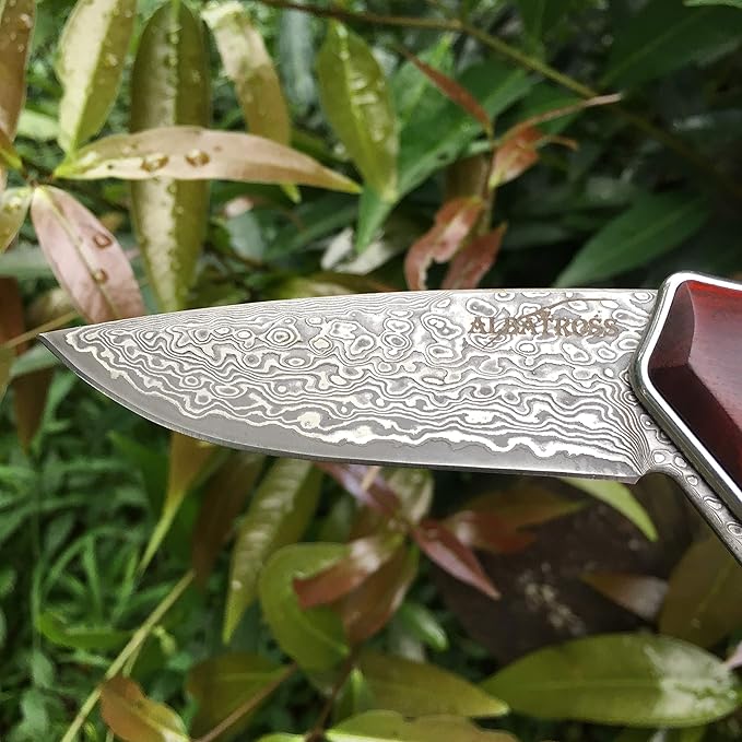 ALBATROSS Premium Damascus Folding Knife - EDC Pocket Knife with Cocobolo Wood Handle, 3.5" Blade