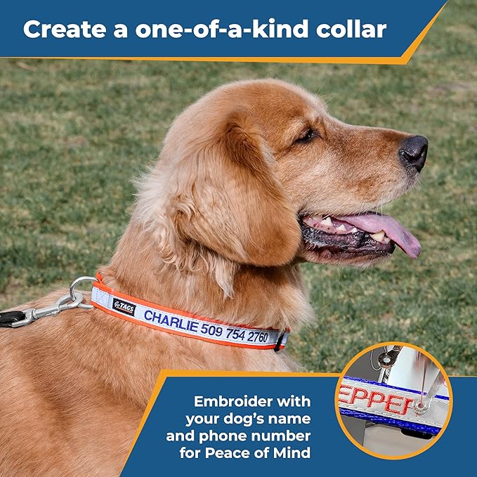 GoTags Reflective Personalized Dog Collar, Custom Embroidered with Pet Name and Phone Number in Red