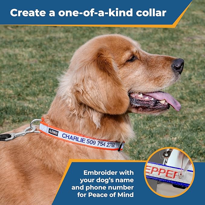 GoTags Reflective Personalized Dog Collar, Custom Embroidered with Pet Name and Phone Number in