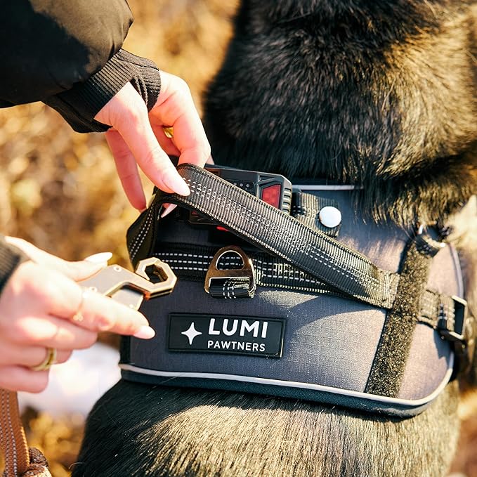 Lumi One LED Dog Harness for Night Visibility and Safety, Patent Pending ??High-Visibility Light-Up