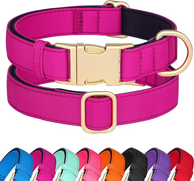 Didog Soft Padded Dog Collars for Small Dogs, Colorful and Durable Dog Collar with Quick Release